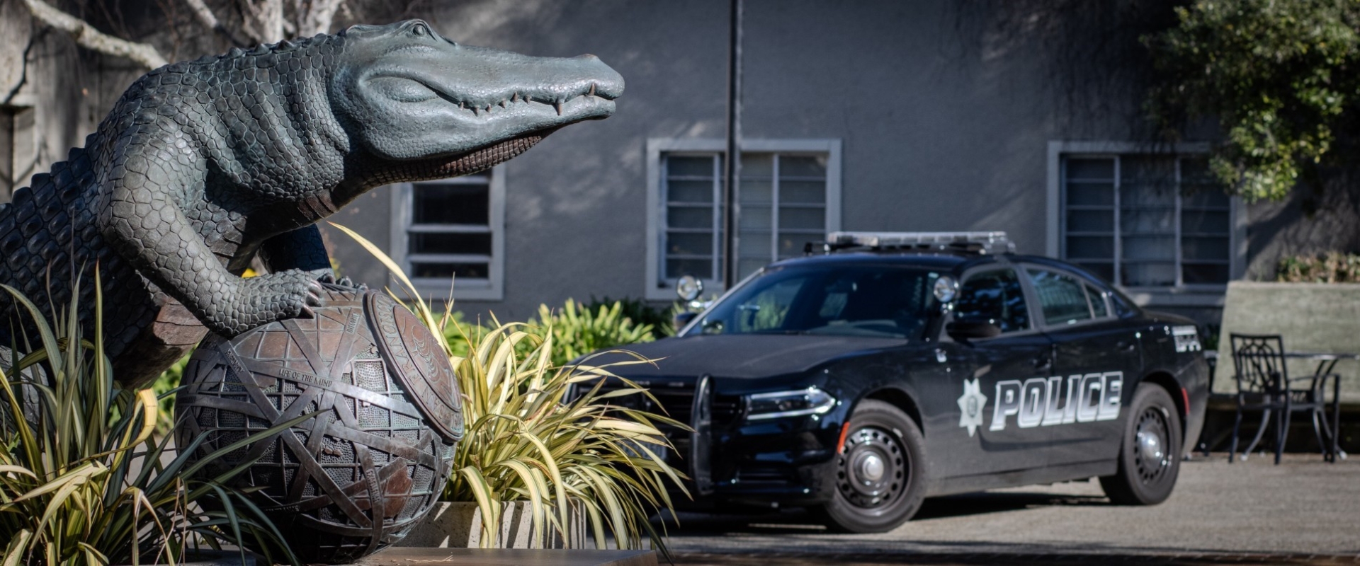 Image of the SFSU Gator statue with a UPD police vehicle parked to the right of it
